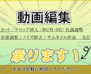 ショート動画・短めの動画の編集作業を承ります ジャンルに合わせたデザインをいたします！ イメージ1