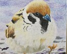 大切な家族、ペットをリアル似顔絵で描いてます リアル似顔絵は写真に近い絵です。可愛い子はさらに可愛く イメージ6