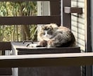 ココロの悩み相談承ります あなたの周りの世界を一緒に変えます イメージ1