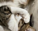 子育ての困りを教えてください。対応を一緒に考えます 育児の大変さを話しませか？あなたの話、聞かせてください。 イメージ1
