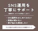 SNS初心者｜1週間の伴走で運用をサポートします 1週間でSNSの土台を整えます！設計〜投稿改善までサポート◎ イメージ2