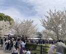 健康相談、障害児相談、何でも話を聞きます 話して穏やかな気持ちになりましょう イメージ1