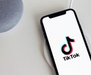 TikTokの運用型広告設定サポートいたします Tiktok広告とはといった概要のご説明から設定までフォロー イメージ2