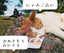 恋に悩んだら…にゃんこが恋のきもちを占います 「あの人はどう思ってるのかにゃ？」猫が伝えるきもち占い イメージ1