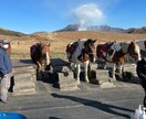 九州への旅行プランます 九州の温泉やグルメ、立ち寄り情報をあなたに合ったプラン設計 イメージ2