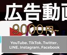 総実績数500件以上！格安で動画制作/編集します 【総実績500件以上】高品質・最安値・即納品の3点セット！ イメージ13