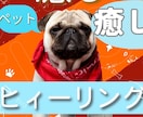 ペットへの遠隔ヒーリングをします 貴女の大切なペットヒーリングのサービスです♪ イメージ1