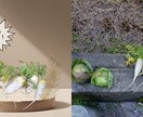 お客様の希望を聞いて画像を編集します 「あなたの"こうしたい"を、カタチにします」 イメージ2