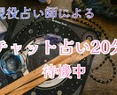 チャット占い20分占います 恋愛、夫婦、人間関係、仕事、ペットのお気持ちを イメージ1