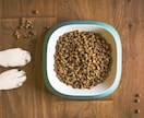 愛犬の『ドッグフード』の相談にのります ペットフードメーカーに勤務経験のある獣医師がお答えします！ イメージ3