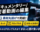 ドキュメンタリー/密着動画編集します 素材丸投げでプロがまるっと編集請け負います イメージ1