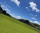 職場、仕事、その他のご相談受付てます 困っている方のお悩み解決お手伝いします^ ^秘密厳守！ イメージ1