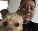 愚痴や悩み相談気軽に受け付けます 小さな事から恋愛や仕事や人間関係の悩みをお持ちのあなたへ イメージ1