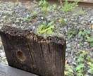 ちょこっと！あの人のお気持ちみます まずはワンコインで、あの人のお気持ちをみてみませんか？ イメージ1