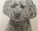 大事なペットの似顔絵描きます 可愛いペットの似顔絵を絵に残しませんか？ イメージ5