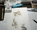 ペットの似顔絵描きます 記念日、プレゼント、鑑賞用にどうぞ イメージ2