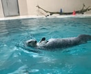 愚痴・雑談☘️話しやすい男性◎がまったりお話します 声のサンプル有▶️気分転換／寂しい時に使える男です✨ イメージ9