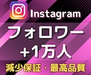 Instagramのフォロワー1万人以上増やします 維持率90%以上保証✨安心の減少保証付き イメージ5