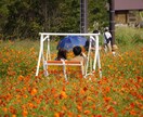 30代女性の方限定♪悩み聞きます 旦那さん、彼氏、不倫相手、女友達、仕事の事何でも聞きます！ イメージ6