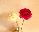 相談したい・愚痴聞いて欲しい方の心に寄り添います ちょっと相談・愚痴聞いて欲しい人集合！ イメージ1