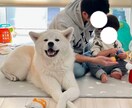 ペットと家族の日常を自然に撮影します スマホだからこそ撮れる、自然な家族の時間を残します イメージ3