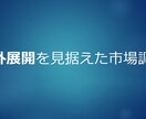 海外展開を見すえた市場調査、分析を行います 現地の法制度や政策、潜在ニーズがあるかを明らかにします イメージ1