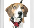 ペットの似顔絵を写真のようにリアルに描きます 犬、猫、うさぎなど動物の肖像画を手描きでリアルに描きます イメージ2