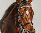あなたのお気に入りの名馬のイラストを描きます コピックと色鉛筆を使い、リアルな絵を書きます イメージ1