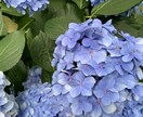 すべて受け止めます あなたの本音吐き出してみませんか？ イメージ1