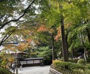 現役看護師がチャットで悩みなどお話しを聞きます 現役看護師と元キャバ嬢の経験を活かし、お話しを聞きます。 イメージ1