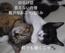 人に言えニャい話　とことんお付き合いします のろけ 密かな楽しみ 自慢  推し活　思いっきり話せます！ イメージ1