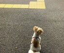 なんでも聞き、アドバイスします あなたの力になれるようにします イメージ1