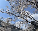 恋愛相談同じテンションで受け答えします 一緒に盛り上がれる、一緒に悩める、一緒に沈めるサービスです イメージ1