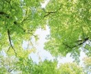 ちょっと聞いてよ！元登校拒否の教員がお話ききます あなたを優しく包みます☺️少しお悩みきかせてもらえませんか？ イメージ2