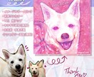 大切な家族のわんこをキラキラ可愛く描きます 温かみのあるキラキラした絵で、大切な家族を絵に残しませんか イメージ2