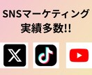 インスタグラムの日本人フォロワーを増やします インスタ日本人フォロワー100人以上増加 イメージ3