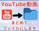 即日対応！YouTubeの動画一括取得します YouTubeから動画を一気にダウンロード イメージ1