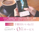 現役マーケターがInstagram運用を代行します 手動いいねサービス付き！あなたのアカウントを輝かせます！ イメージ2
