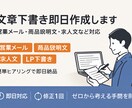即日対応：文章の下書きなどを即日作成します ヒアリング後、当日〜24時間以内に文章のたたき台を作成します イメージ1