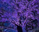 性のお悩み、相談にのります 性欲、セックスレス、体の事など、優しくお聞きします。 イメージ1