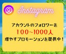 インスタフォロアー増やします 日本人アクティブフォロワーを最短２～３日で１００人増やします イメージ2