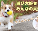 視聴率が上がるYouTubeのサムネイル作ります クリックしたくなるサムネイルを作成します！ イメージ2