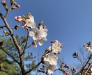 経営者や組織の長の方へコーチングを提供いたします 組織のリーダーは孤独です!悩みや苦しみをプロと話しませんか イメージ1