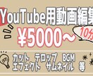 YouTube向け動画制作承ります 現役編集者が動画編集いたします！ イメージ1