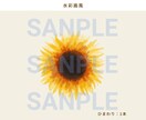 商用利用OK｜やさしいお花のイラスト制作します SNS / パッケージ / ギフト/結婚式にも イメージ6