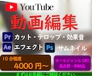 10分程度の動画のカット、テロップ作業を提供します 細かい部分までこだわり、より見やすい動画を提供します。 イメージ1