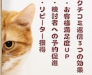 旅館・ホテル★宿泊予約サイトのクチコミ返信します 元旅行会社出身のスタッフが宿の魅力が伝わる返信でサポート イメージ6