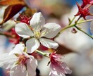 100円で画像加工します 普段の写真をもっとおしゃれに！ イメージ1
