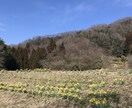 秘密厳守‼︎大丈夫〜安心して。何でもお話聞きます 3人子育て18年。私の経験があなたを癒せますように。 イメージ9