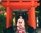 七五三・お宮参りを撮影します 自然な表情とご家族の空気を残します イメージ5